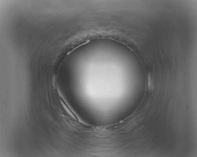 X0000054381492200508121552
