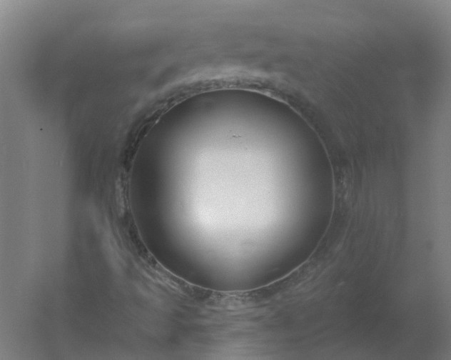 X0000054381493200508121552