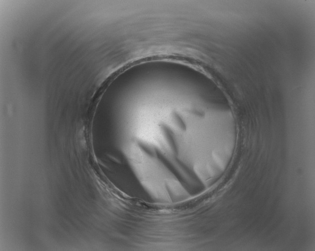 X0000054381497200508121552
