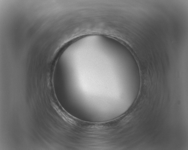 X0000054381499200508121553