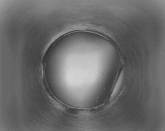 X0000054381509200508121553