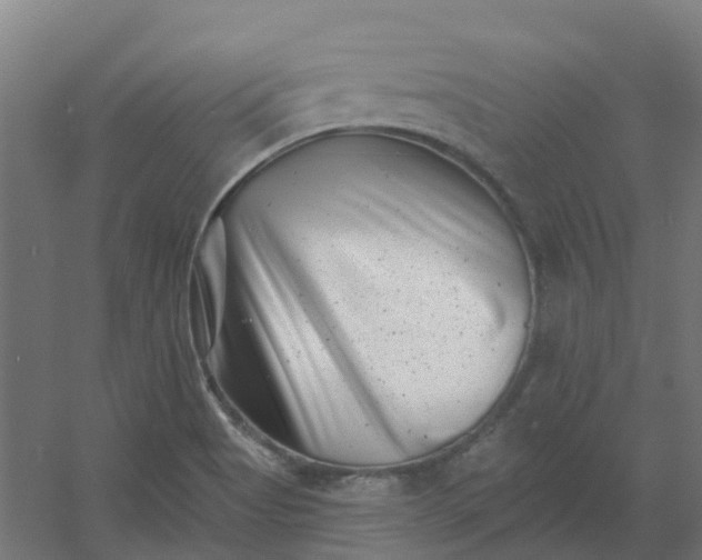 X0000054381513200508121553