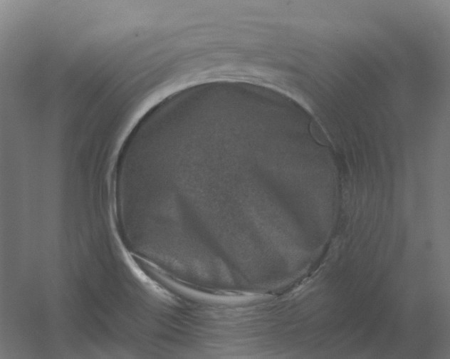 X0000054381515200508121553