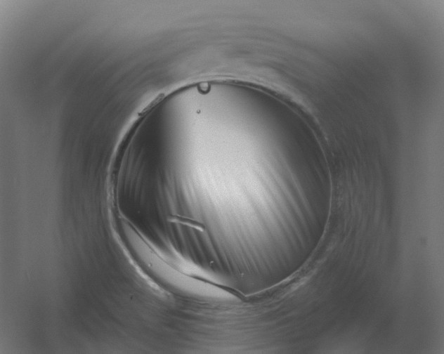 X0000054381517200508121553