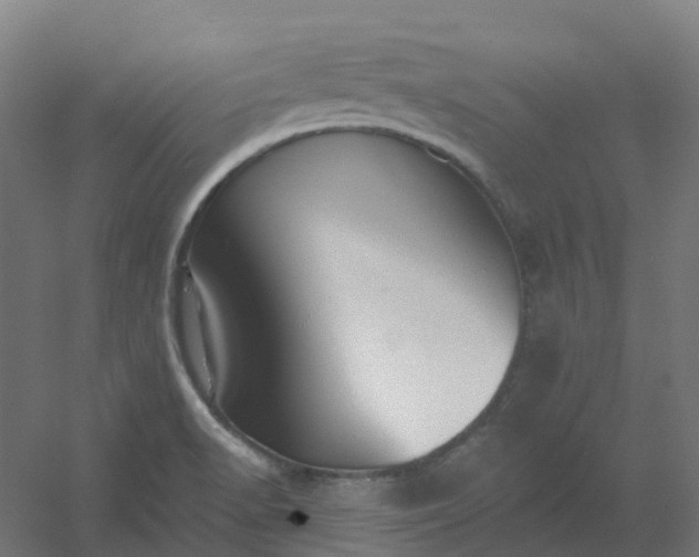 X0000054381518200508121553