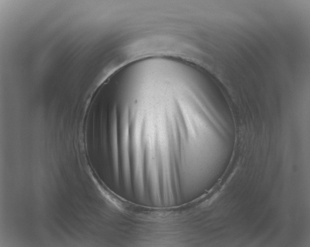 X0000054381521200508121553