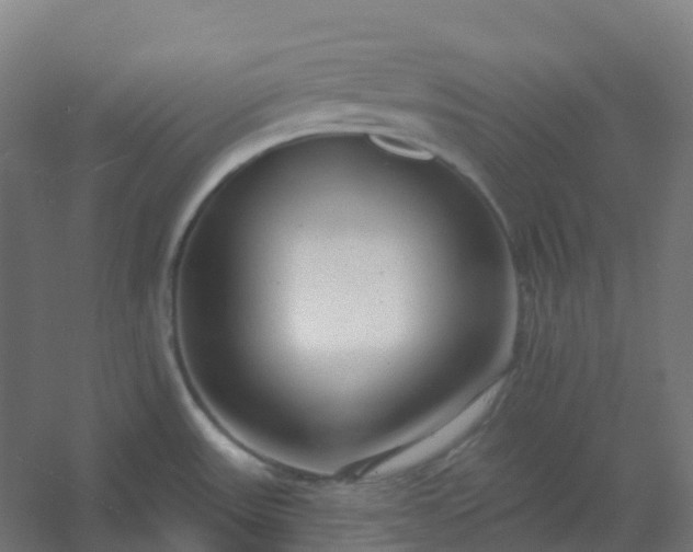 X0000054381531200508121553
