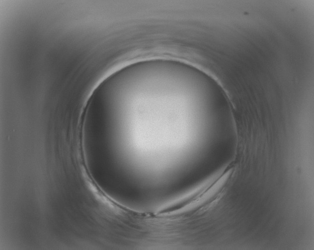 X0000054381534200508121553