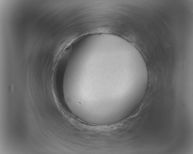 X0000054380001200508191925