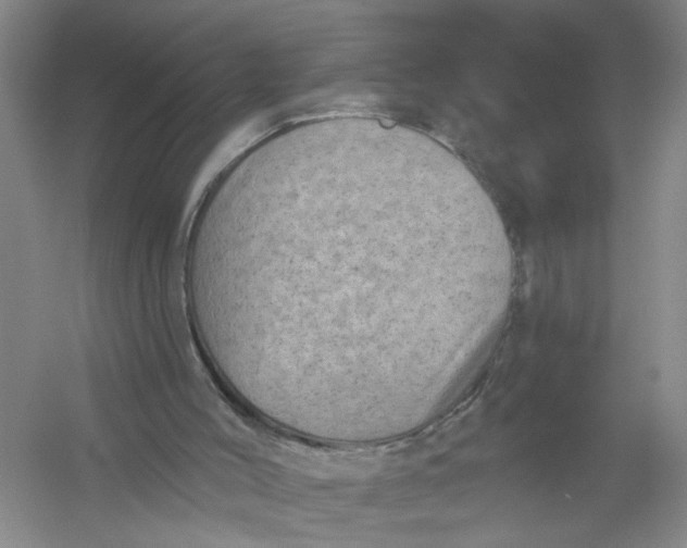 X0000054380004200508191925