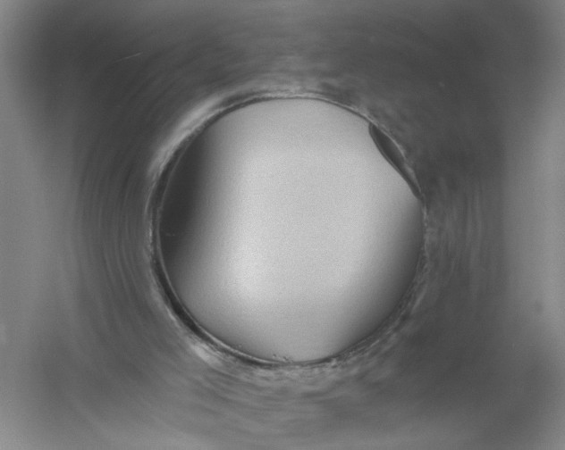 X0000054380005200508191925