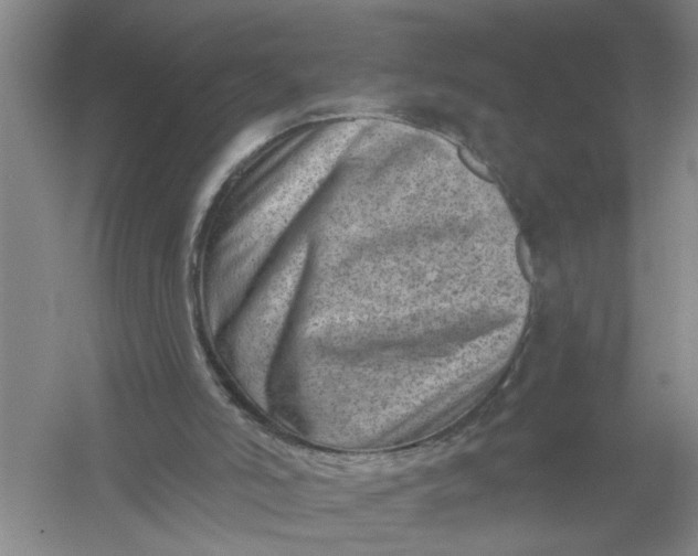 X0000054380006200508191925