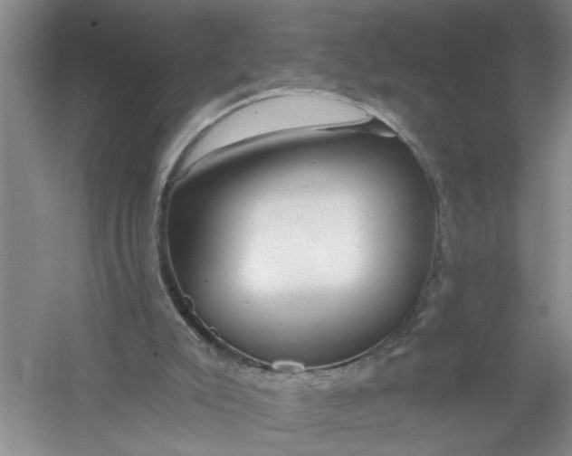 X0000054380007200508191925