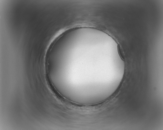 X0000054380008200508191925