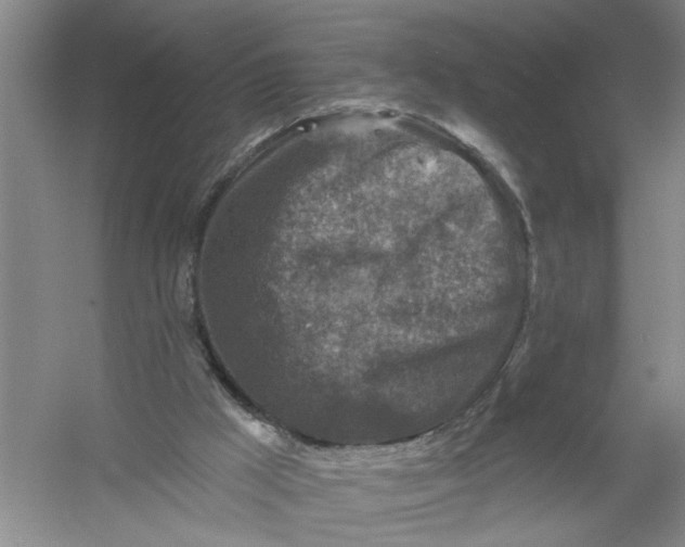 X0000054380009200508191925