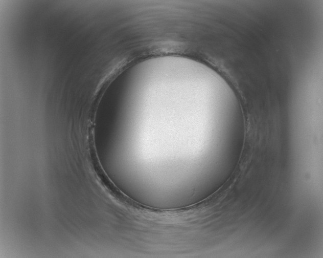 X0000054380010200508191925