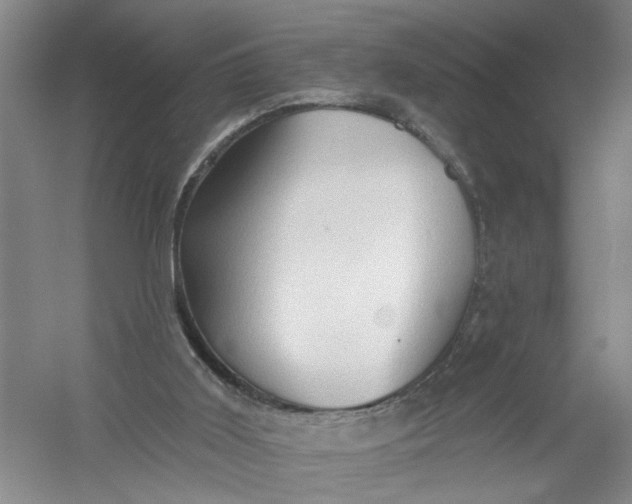 X0000054380011200508191925