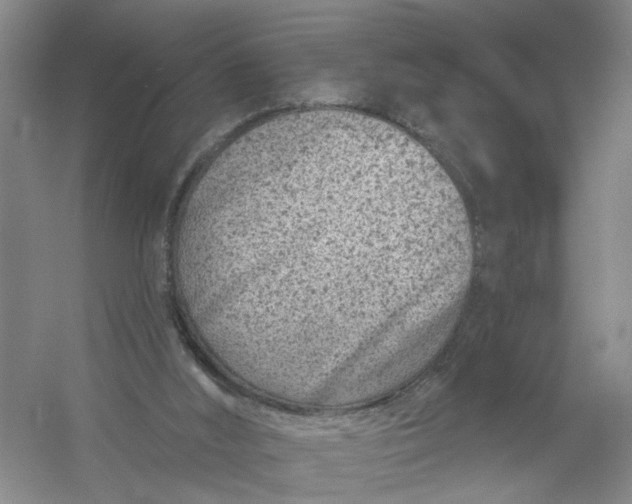 X0000054380012200508191924