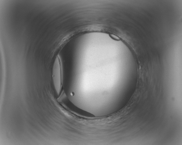 X0000054380013200508191924