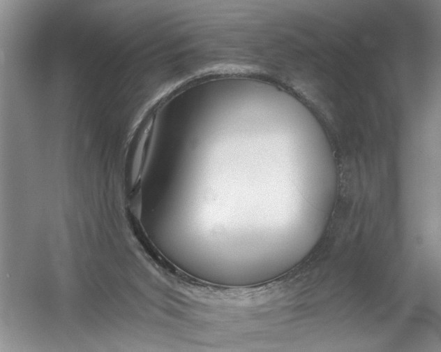 X0000054380015200508191924