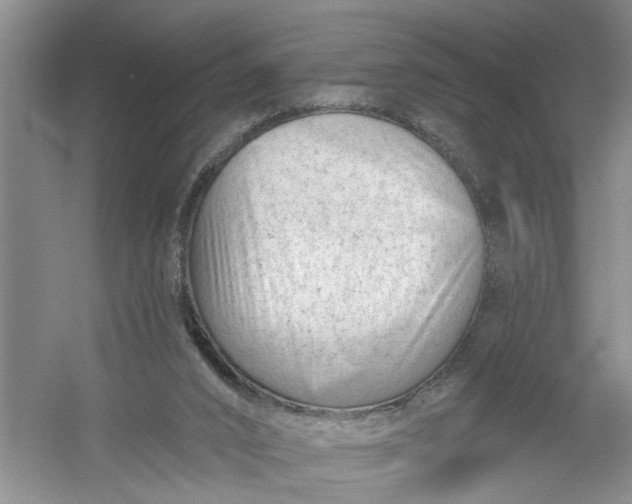 X0000054380016200508191924