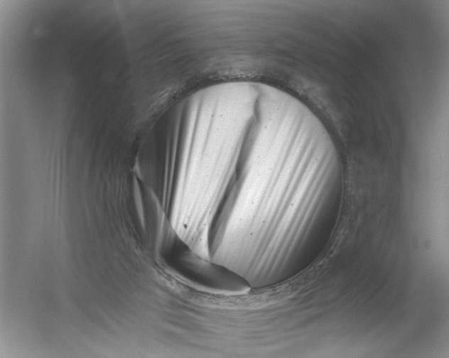 X0000054380017200508191924