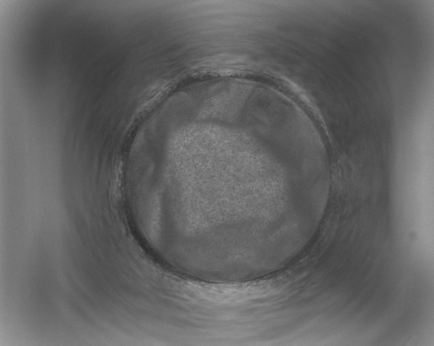 X0000054380018200508191924