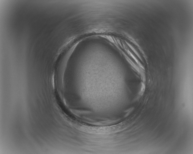 X0000054380019200508191924