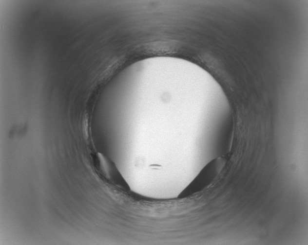 X0000054380021200508191924