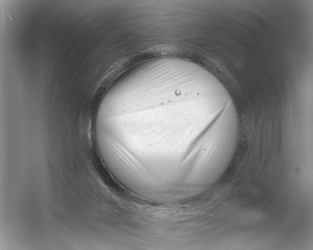 X0000054380024200508191924