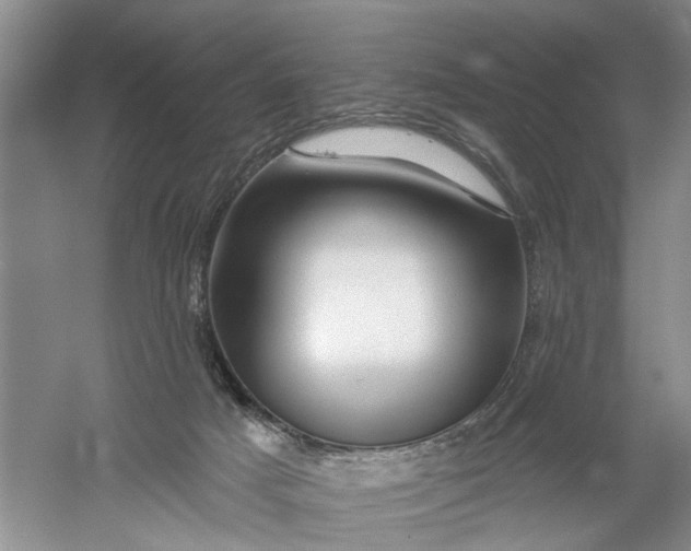 X0000054380025200508191924