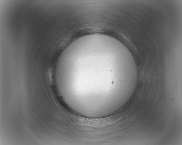 X0000054380026200508191924