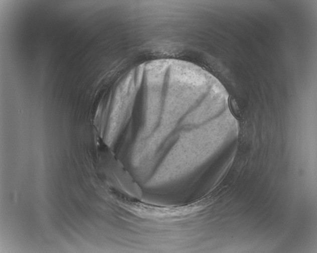 X0000054380027200508191924