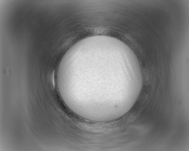 X0000054380028200508191924