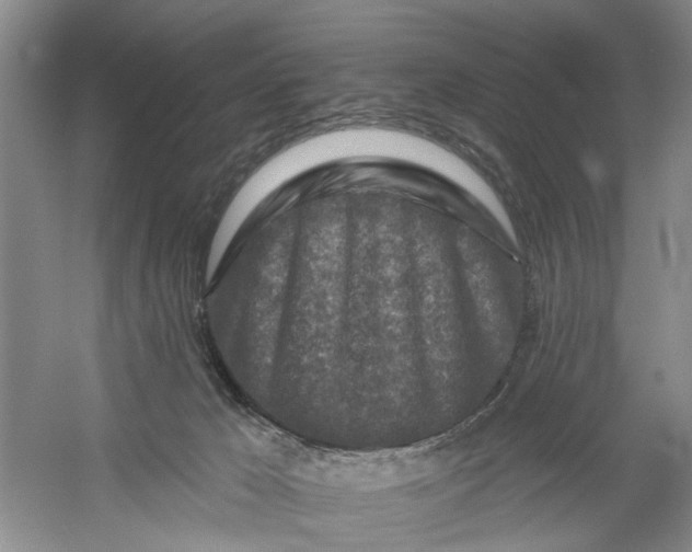 X0000054380029200508191924