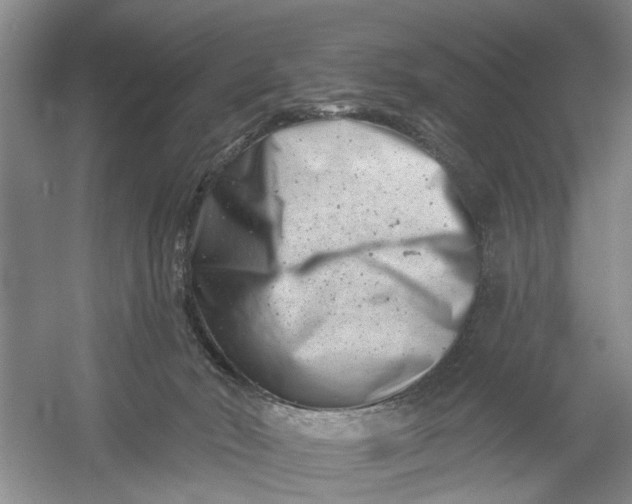 X0000054380030200508191924