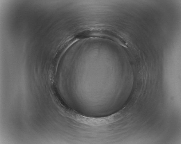 X0000054380031200508191924