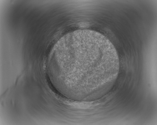 X0000054380032200508191924