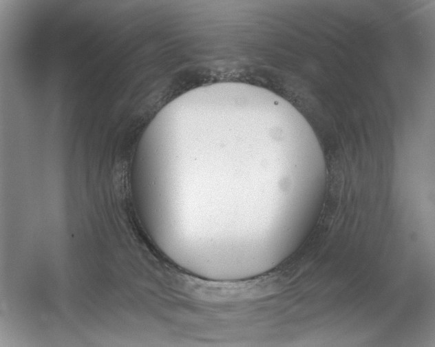 X0000054380034200508191924