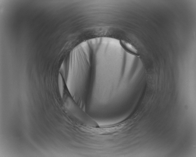 X0000054380035200508191924