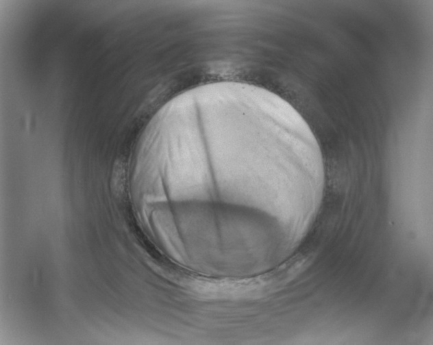 X0000054380036200508191924