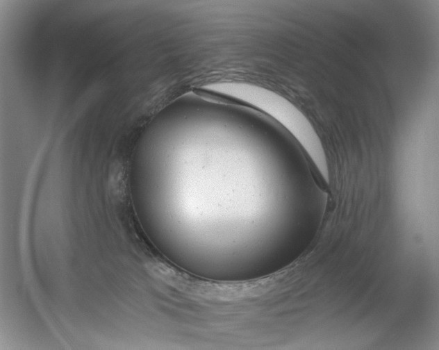 X0000054380037200508191924