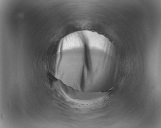 X0000054380039200508191924