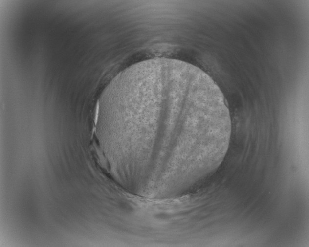 X0000054380042200508191924