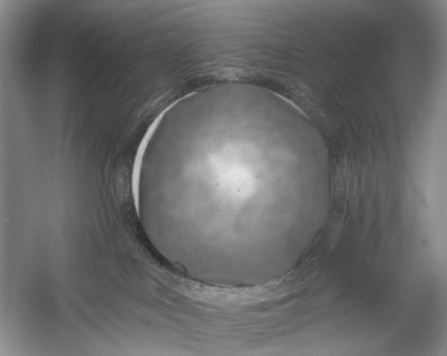 X0000054380043200508191924