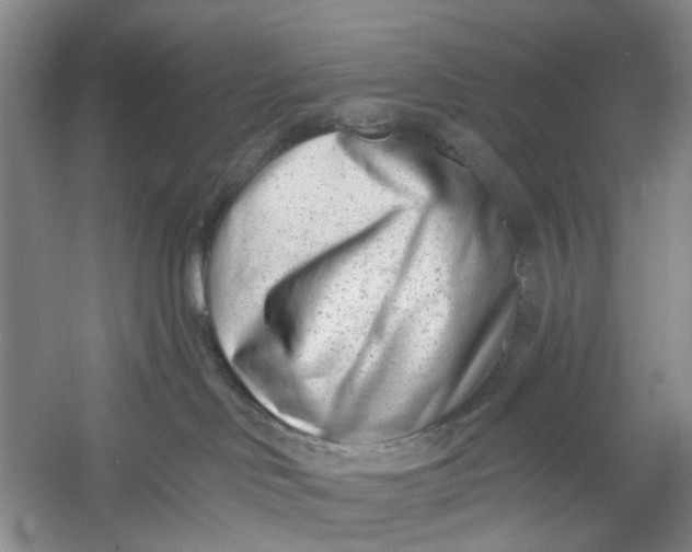 X0000054380046200508191924