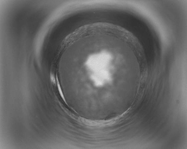 X0000054380047200508191924