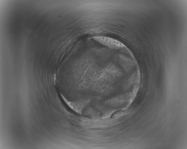 X0000054380048200508191924