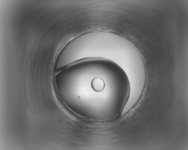 X0000054380049200508191923