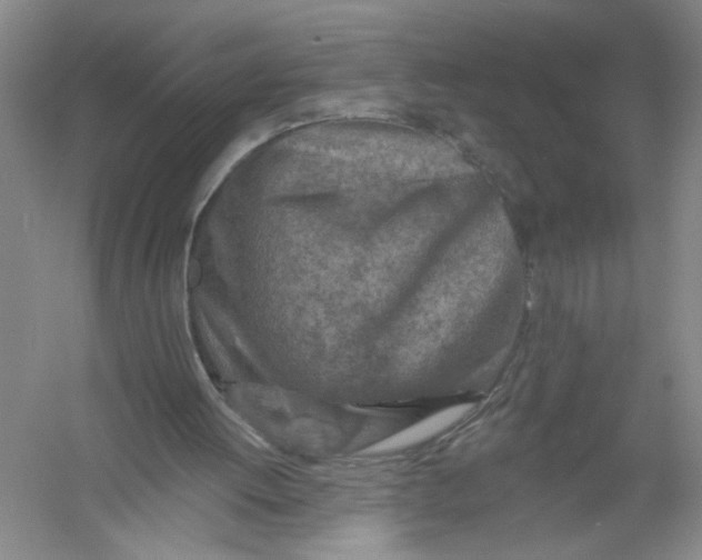 X0000054380052200508191923